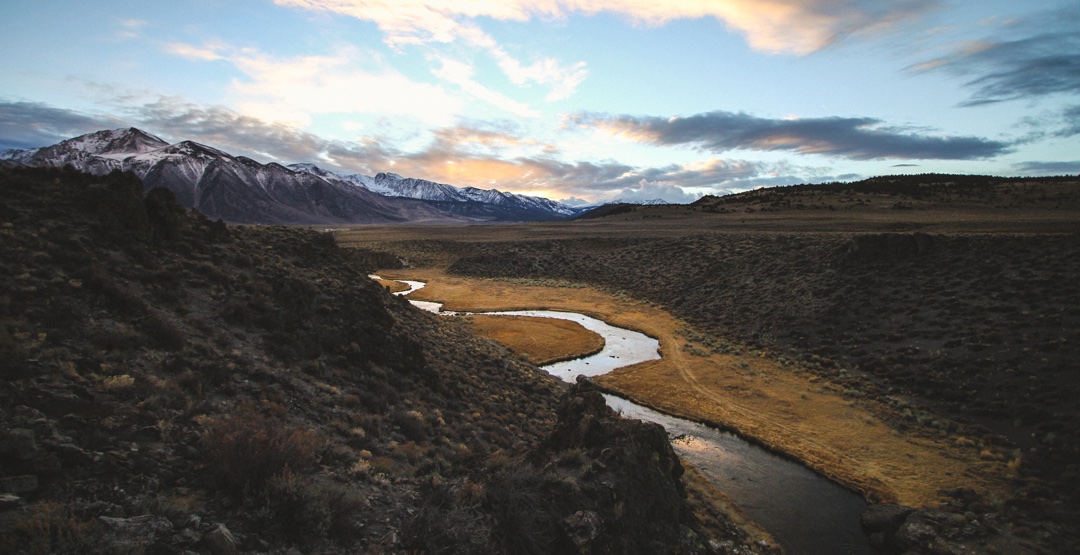 Daily verses and devotionals