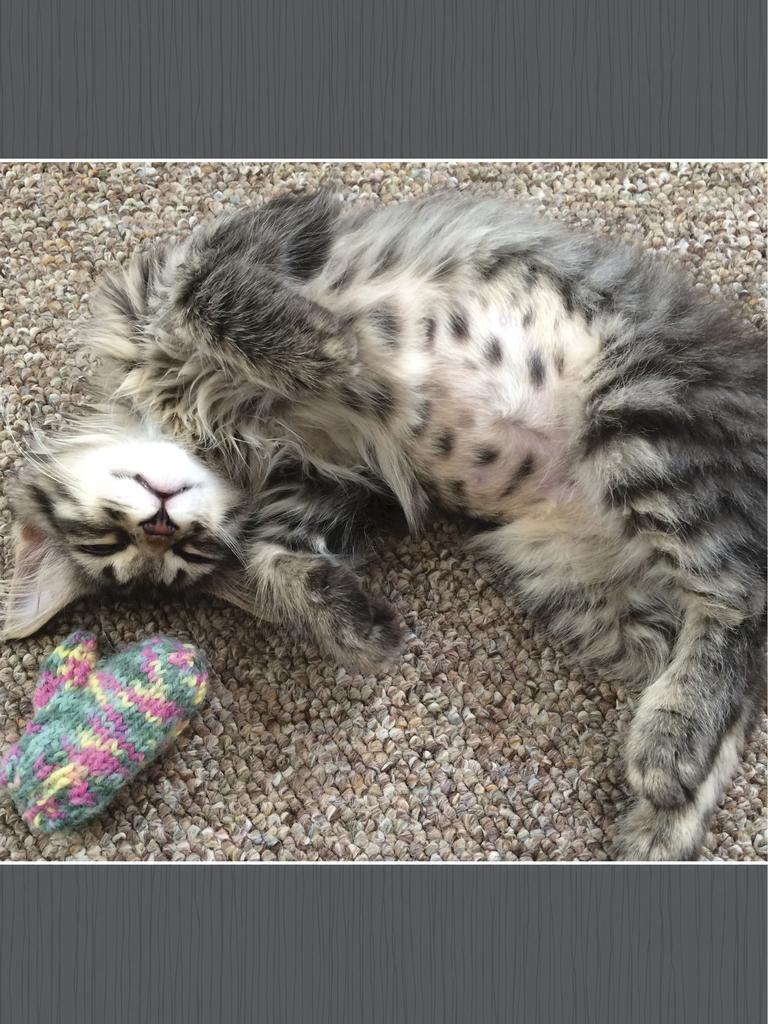 Persephone with favorite mitten toy