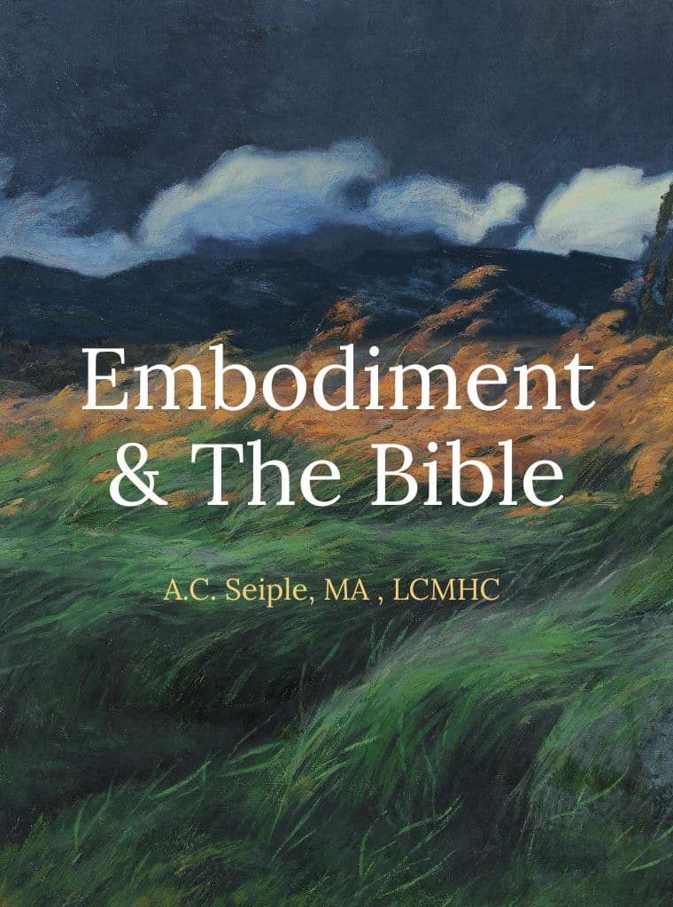 Embodiment & the Bible cover image