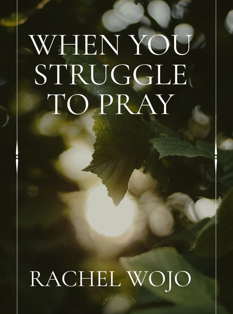 When You Struggle to Pray cover image