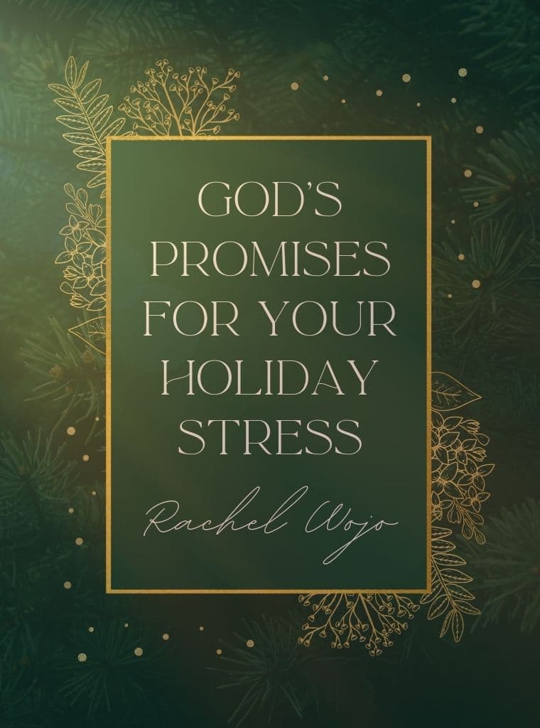 God's Promises for Your Holiday Stress cover