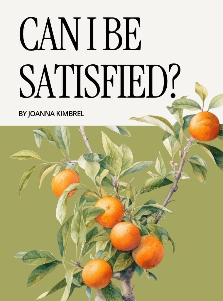 Can I Be Satisfied? cover image