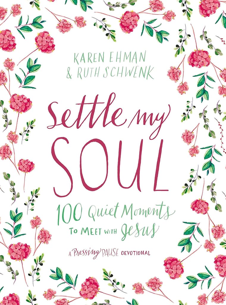 Settle My Soul cover