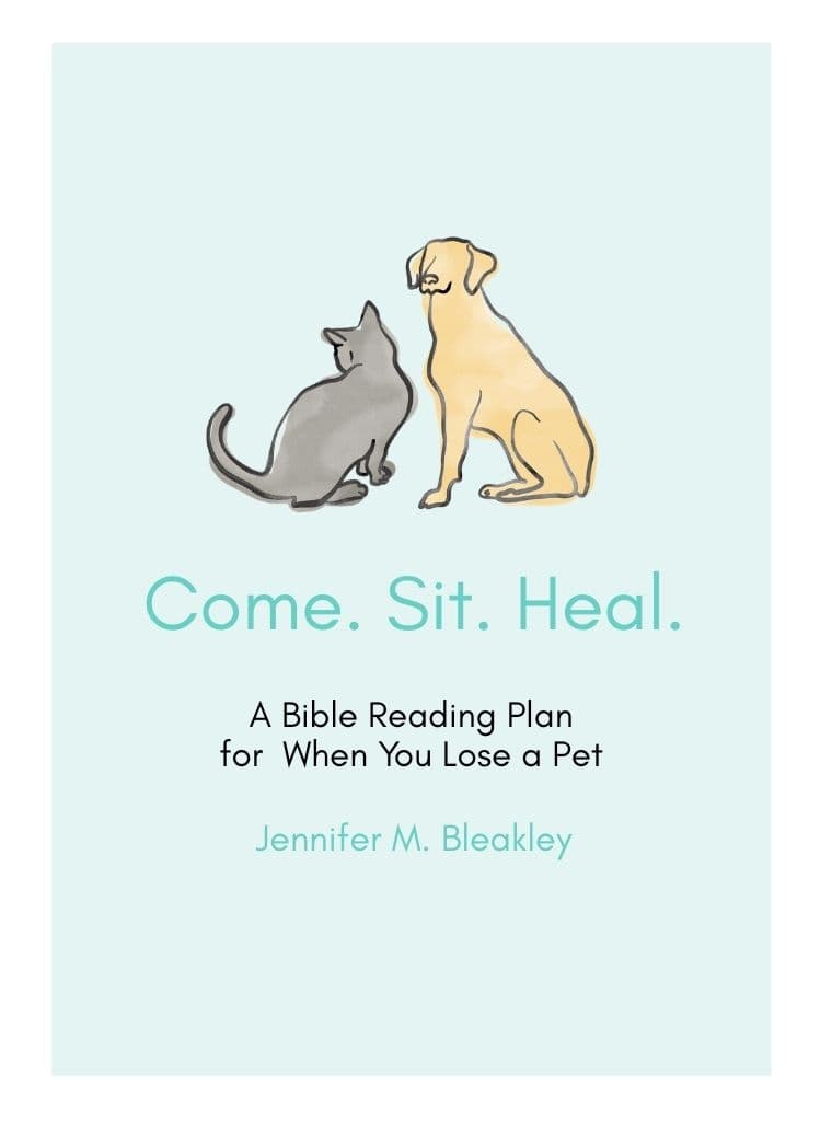 Come, Sit, Heal. cover