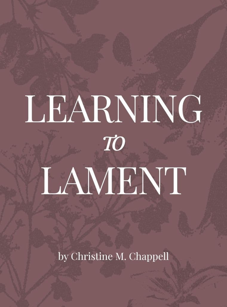 Learning to Lament cover