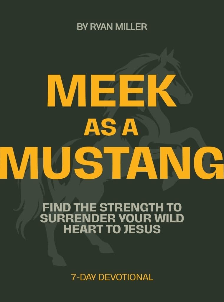 Meek as a Mustang: Find the Strength to Surrender Your Wild Heart to Jesus cover