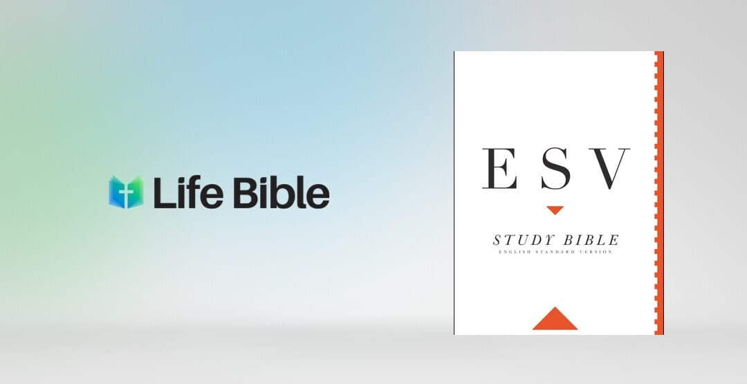 Placeholder App Image