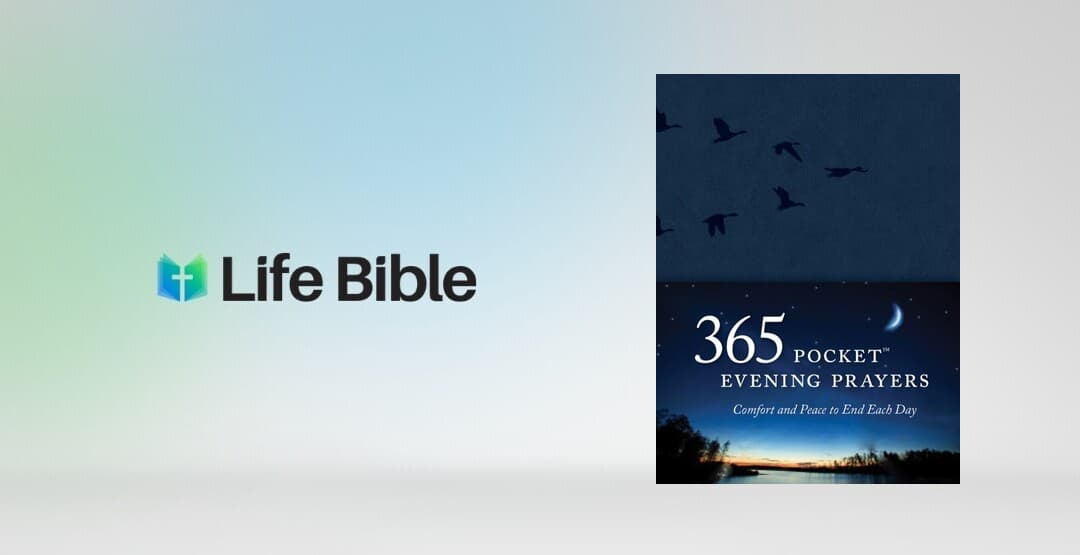 Placeholder App Image