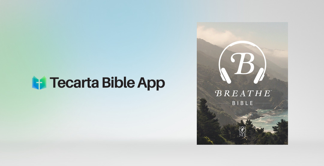 Placeholder App Image