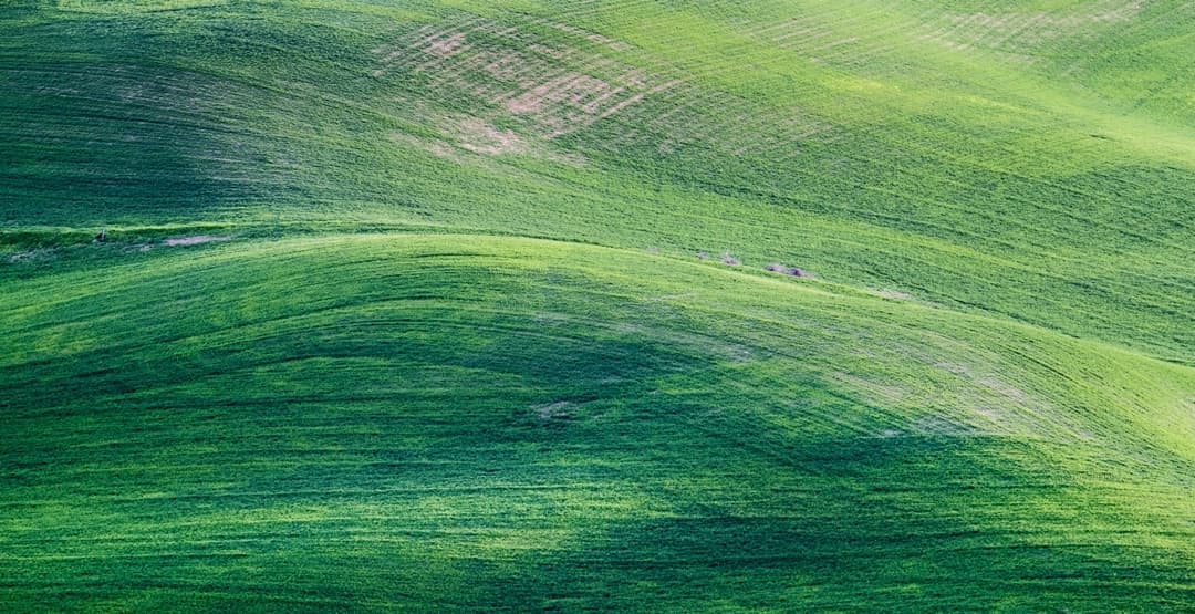 Placeholder App Image