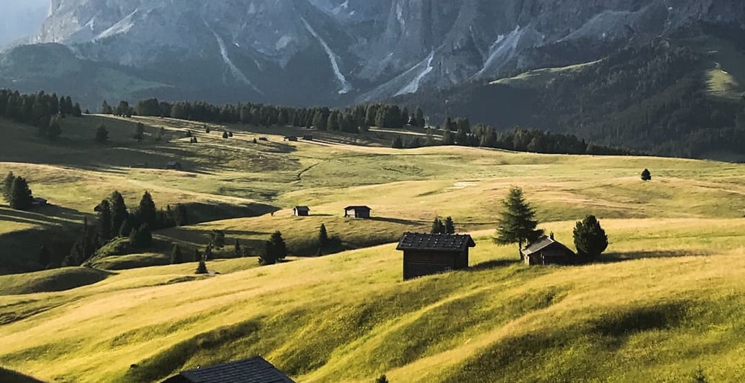 Placeholder App Image