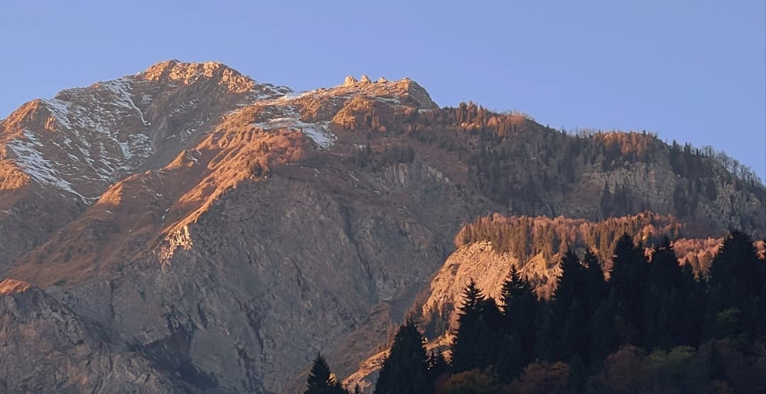 Placeholder App Image