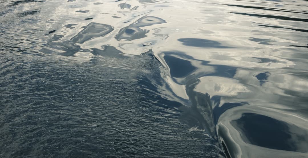 Placeholder App Image