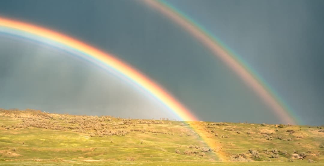 Placeholder App Image