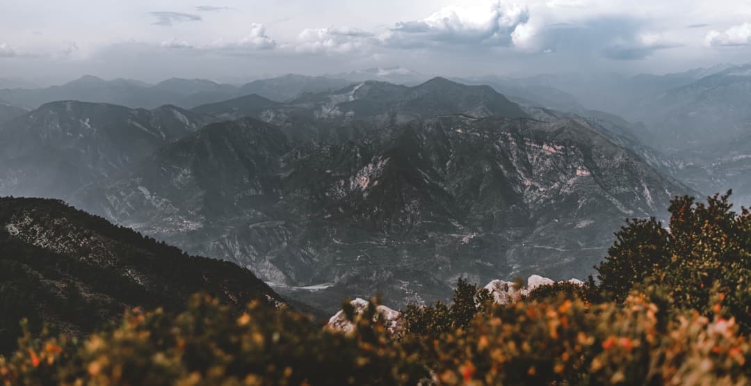 Placeholder App Image