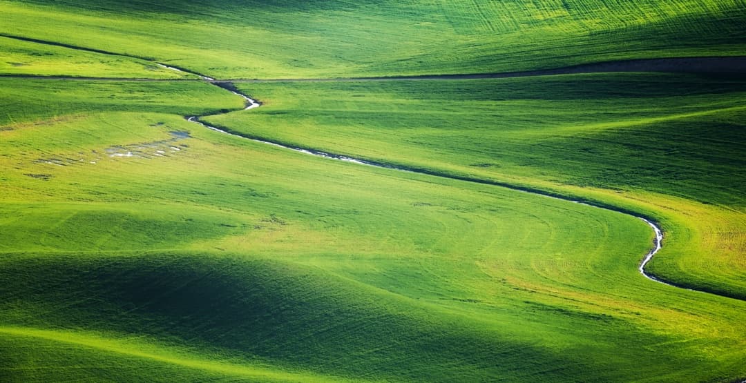 Placeholder App Image