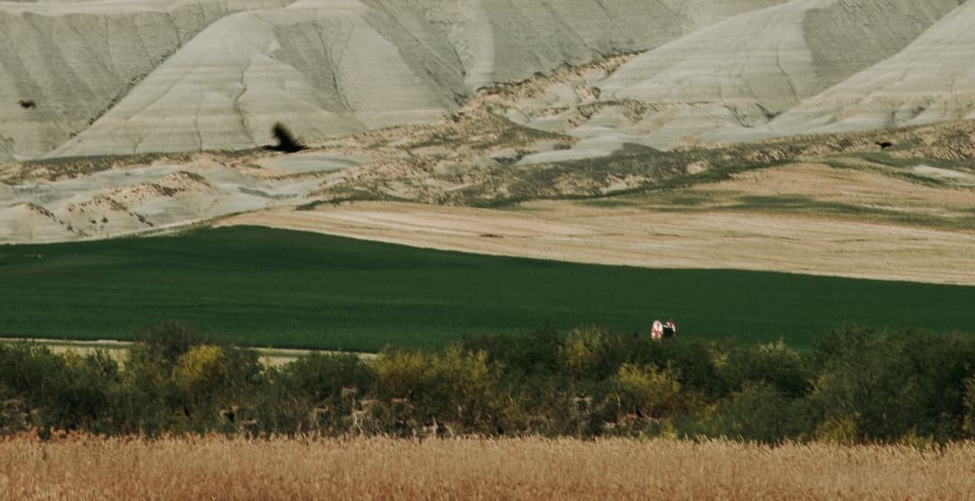 Placeholder App Image