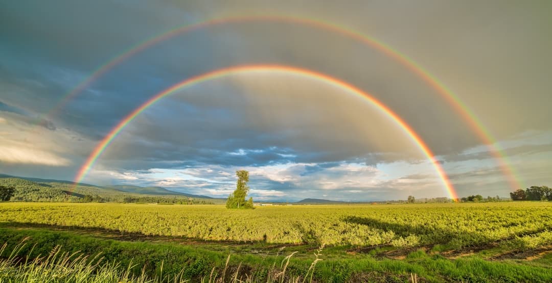 Placeholder App Image