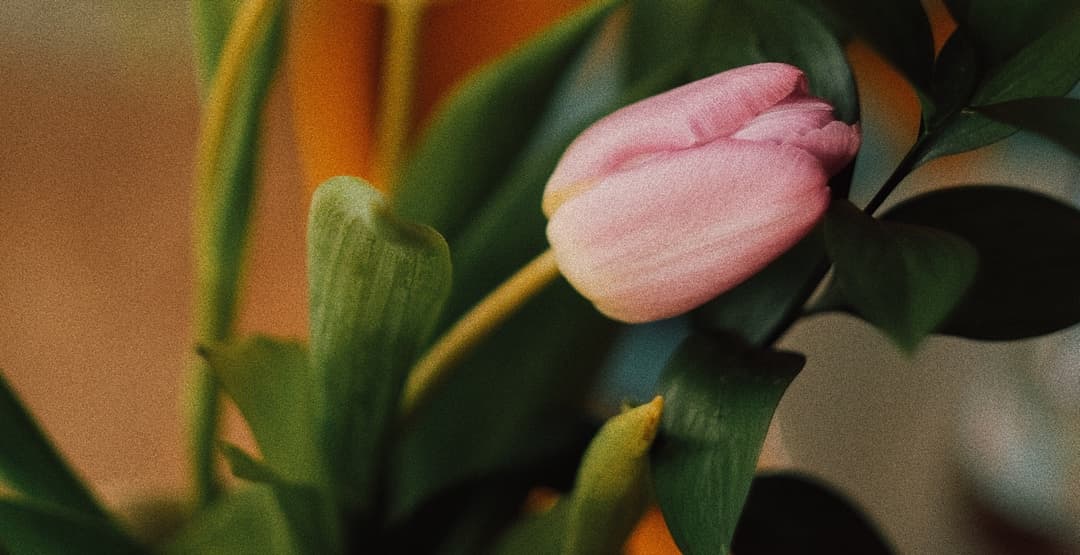 Placeholder App Image