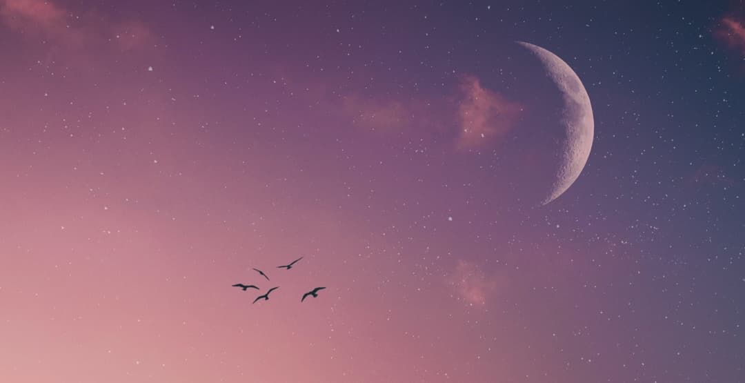 Placeholder App Image