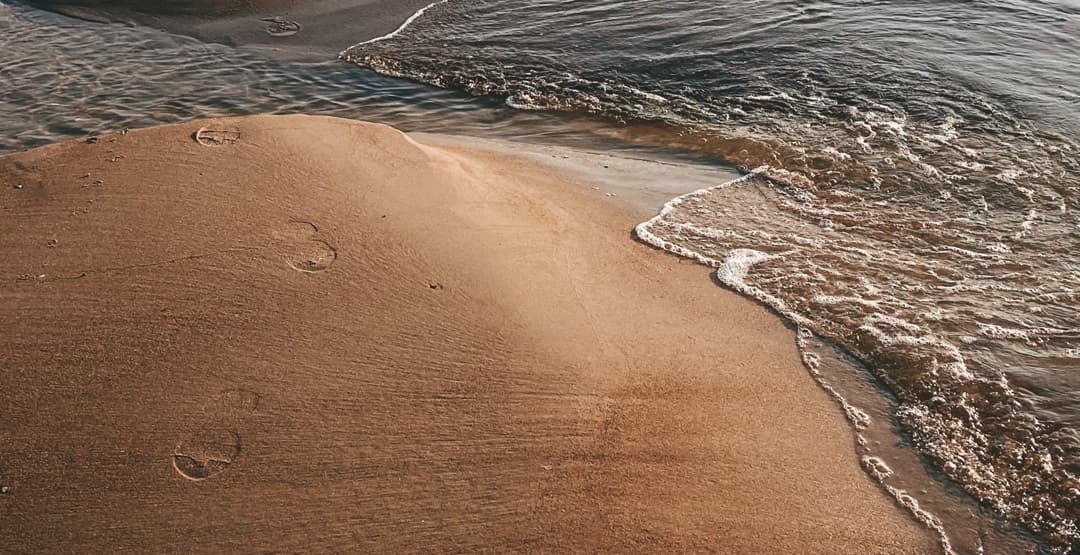 Placeholder App Image