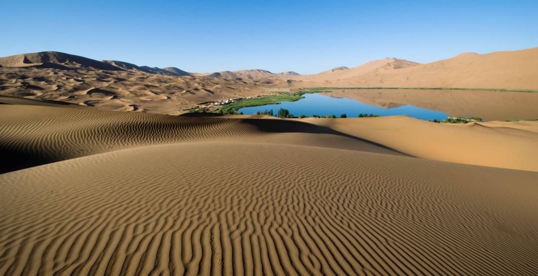 Placeholder App Image