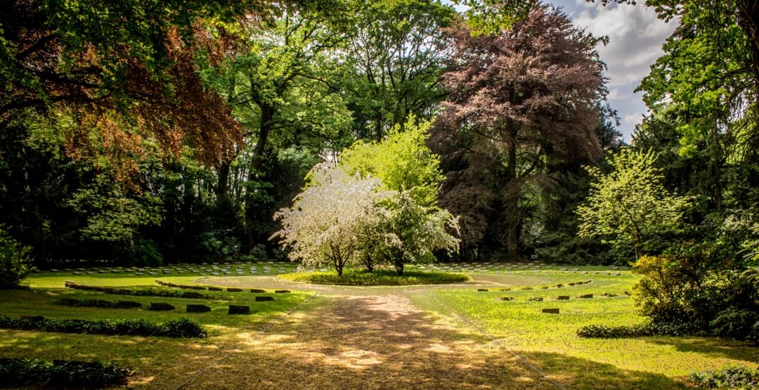 Placeholder App Image