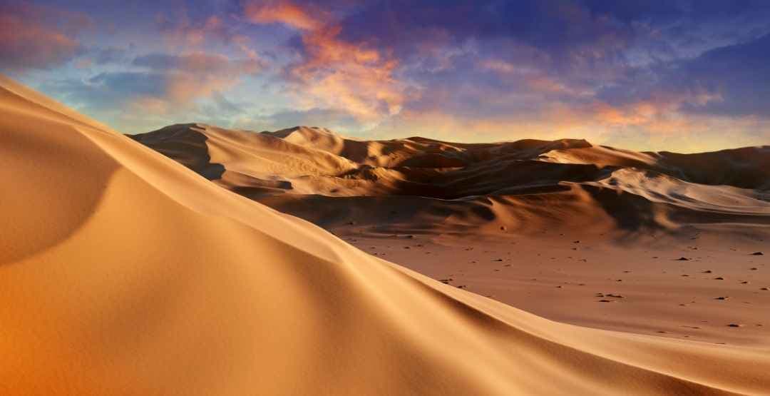 Placeholder App Image