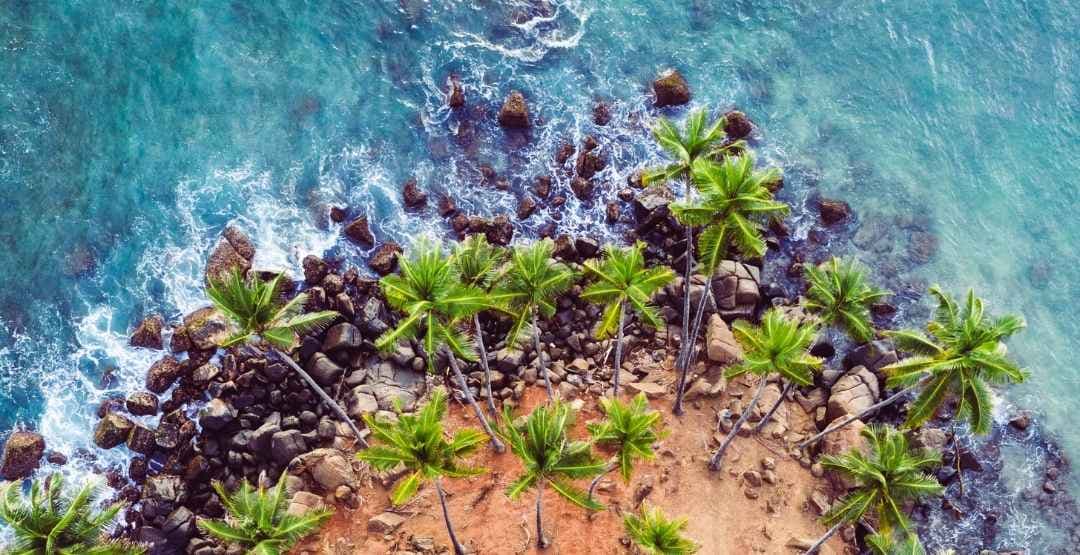 Placeholder App Image