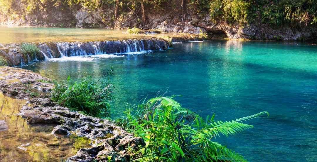 Placeholder App Image