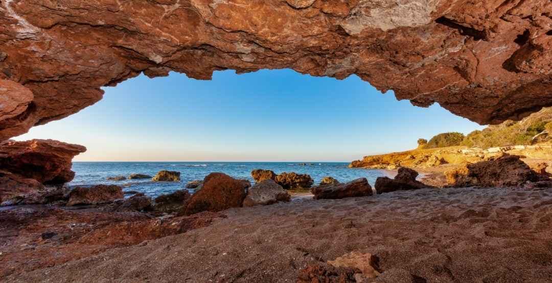 Placeholder App Image