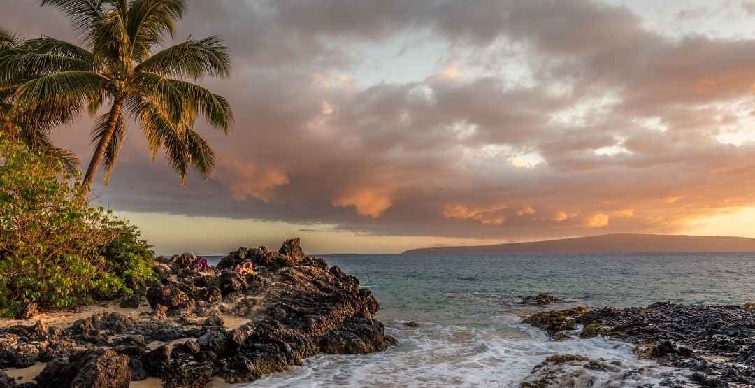 Placeholder App Image