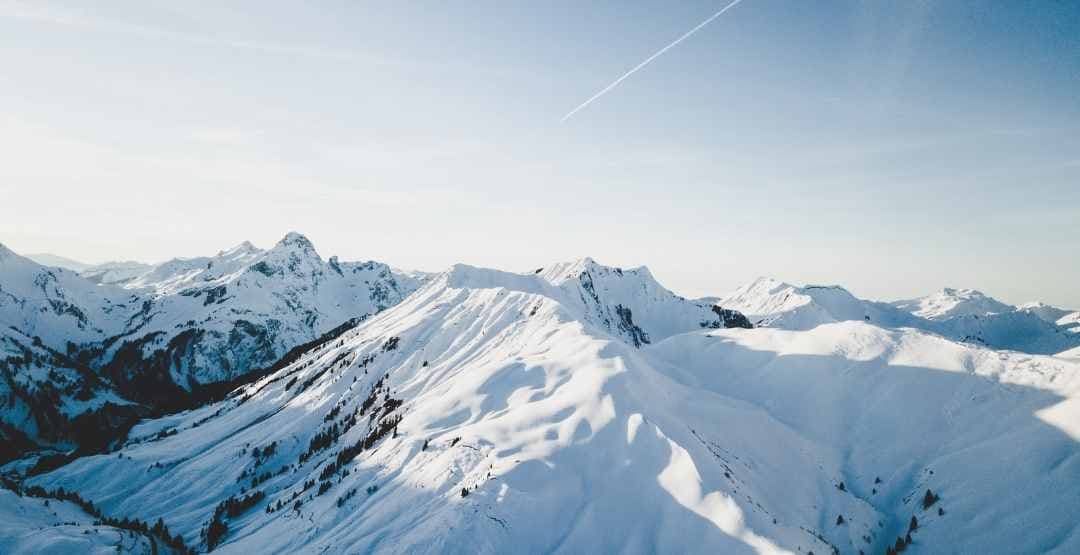 Placeholder App Image