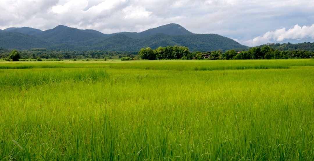 Placeholder App Image