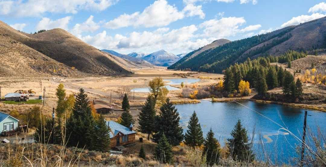 Placeholder App Image