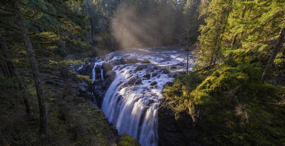 Placeholder App Image