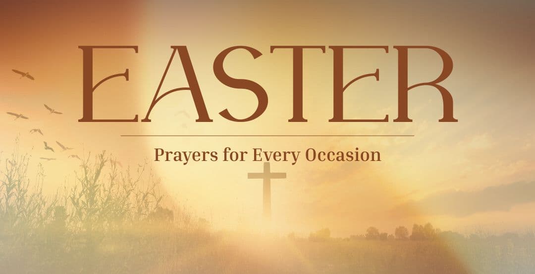 Placeholder App Image