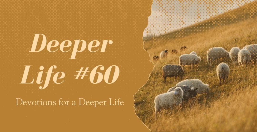 Placeholder App Image