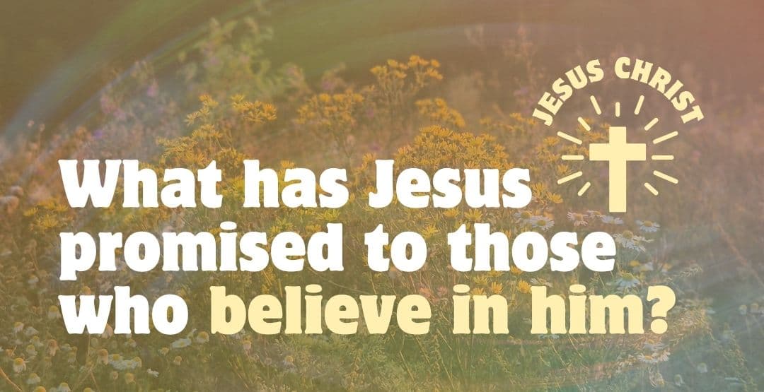 Placeholder App Image