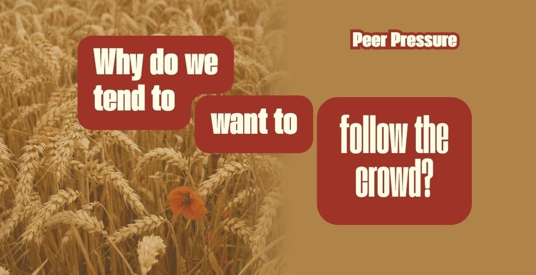 Placeholder App Image