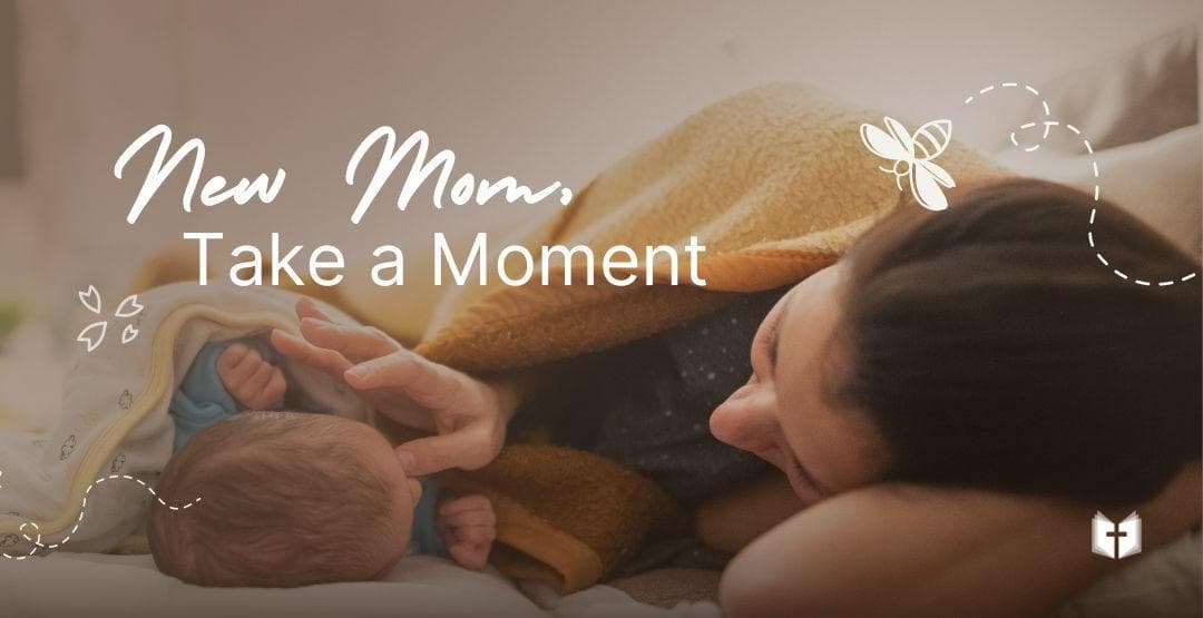 New Mom, Take a Moment image