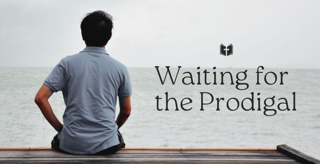 Waiting for the Prodigalimage