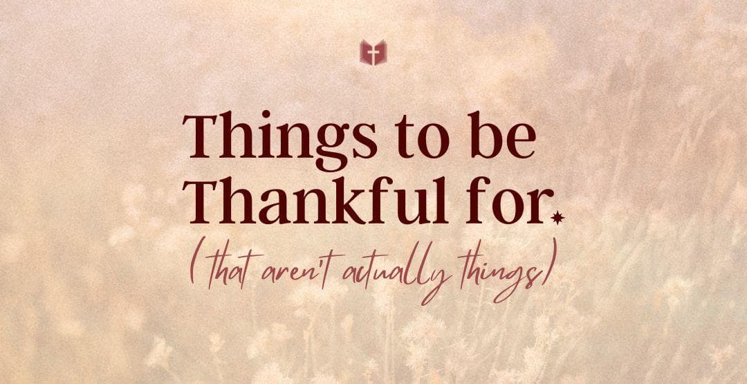 Things to be Thankful for (that aren't actually things) image