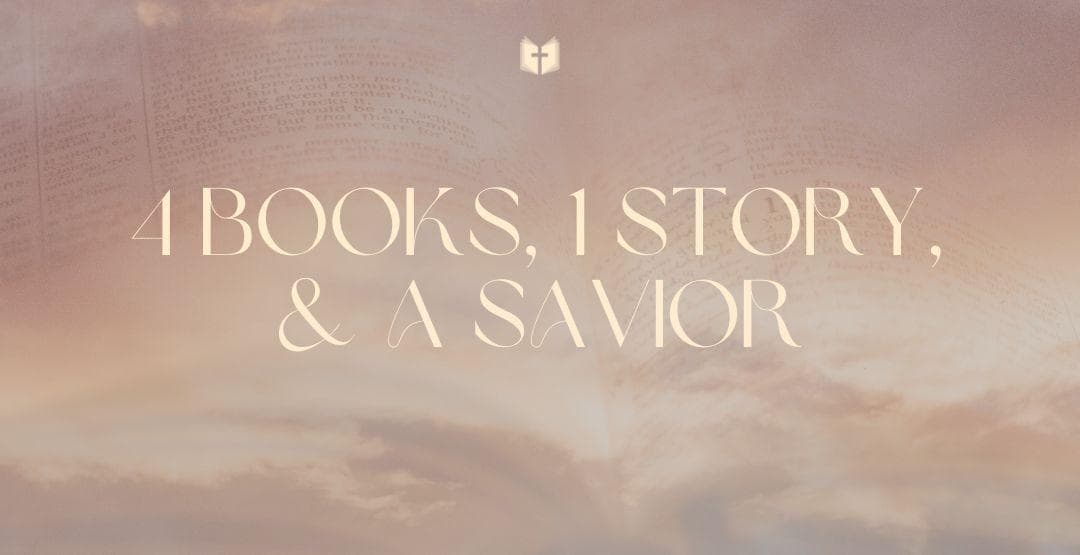 4 Books, 1 Story & a Savior image