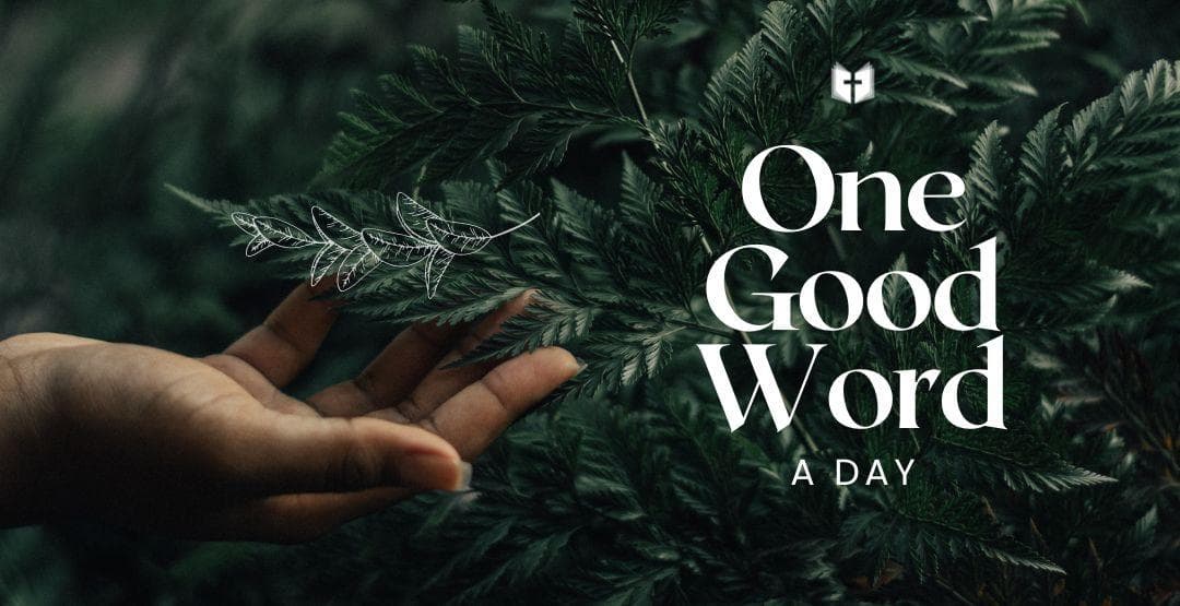 One Good Word a Day image