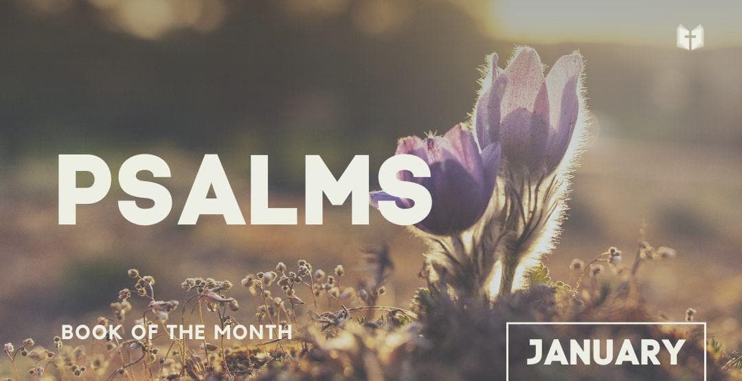 Book of the Month: The Psalms 