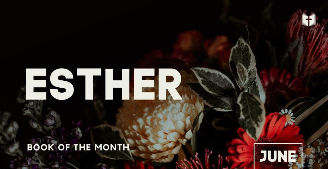 Book of the Month: Esther image