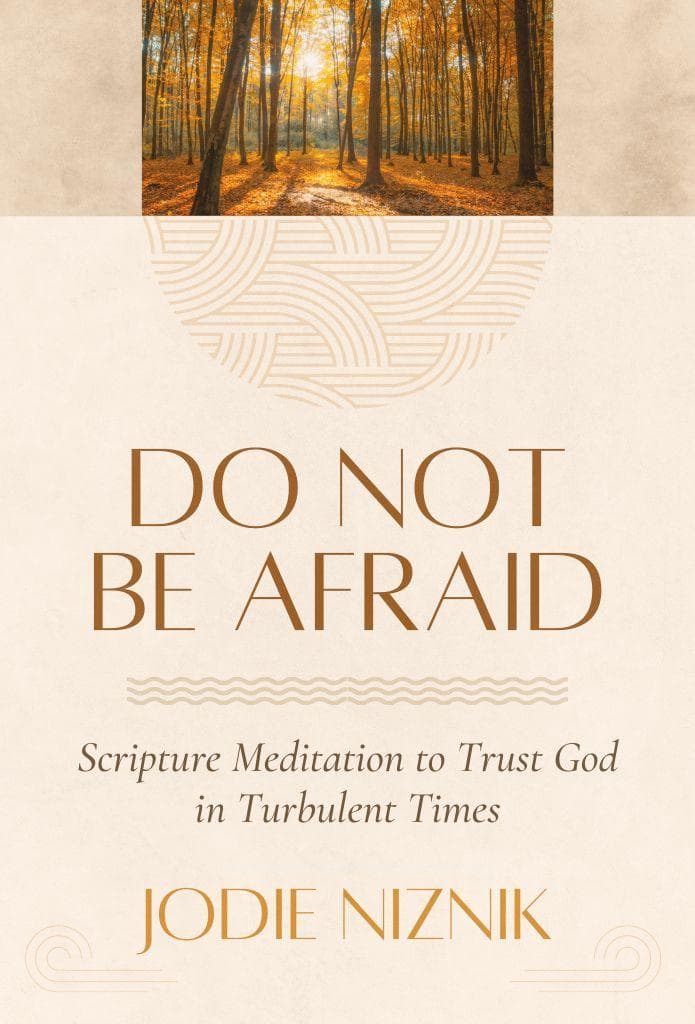 Do Not Be Afraid: Scripture Meditation to Trust God in Turbulent Times image