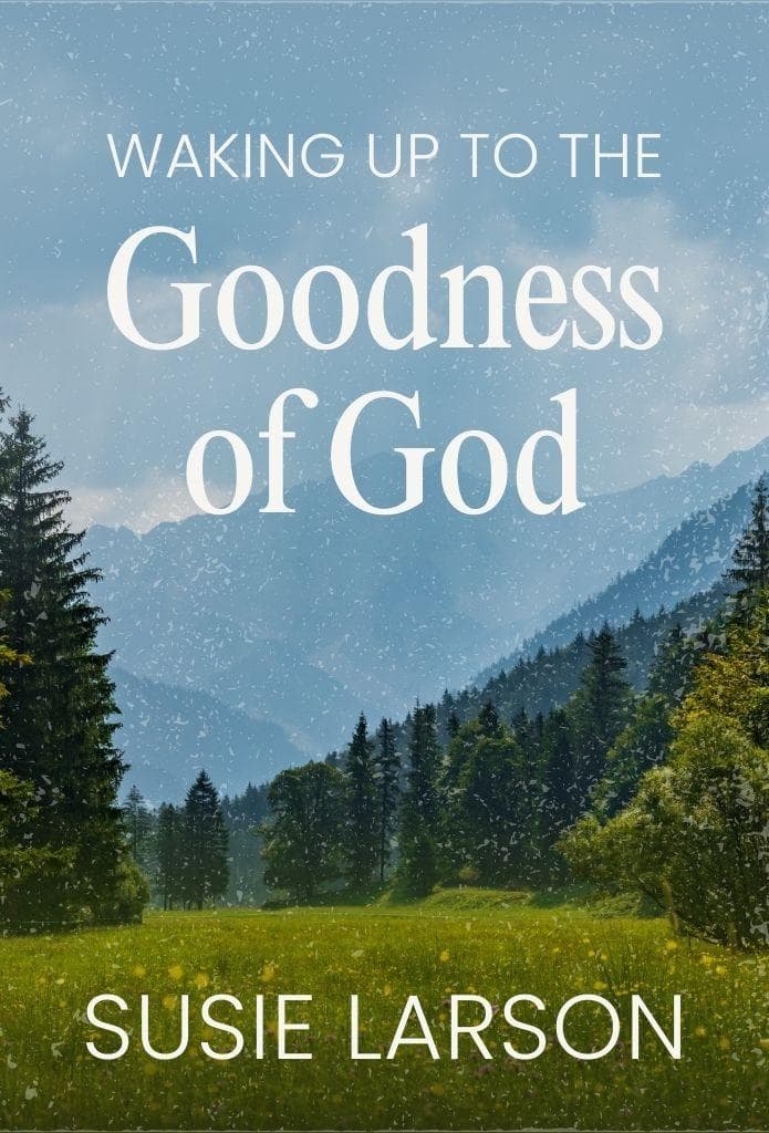 Waking Up to the Goodness of God image
