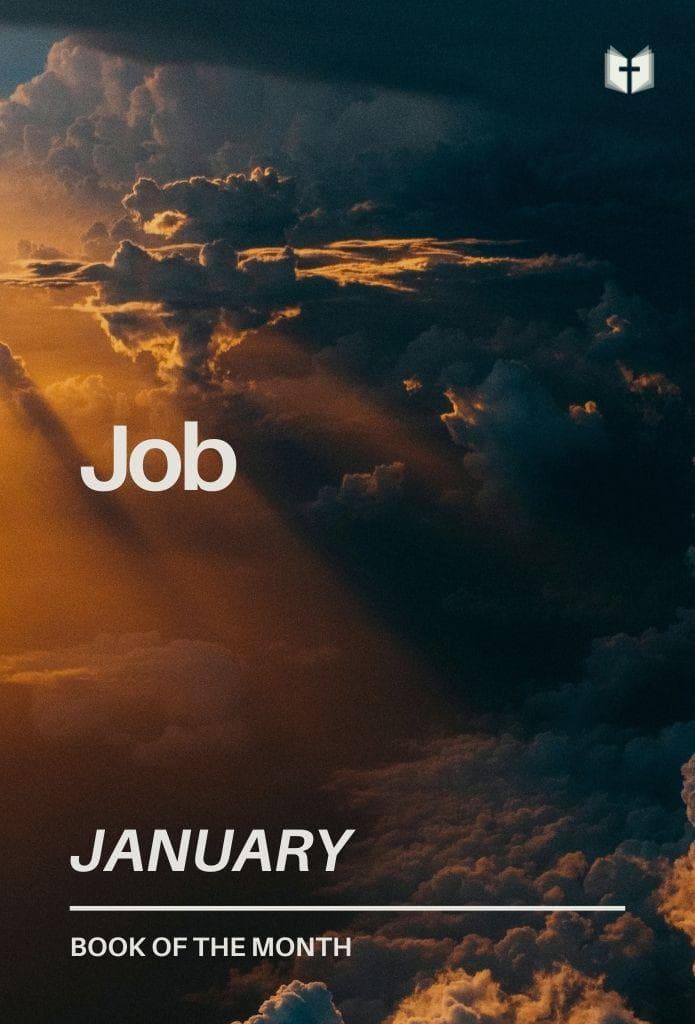 Book of the Month: Job image